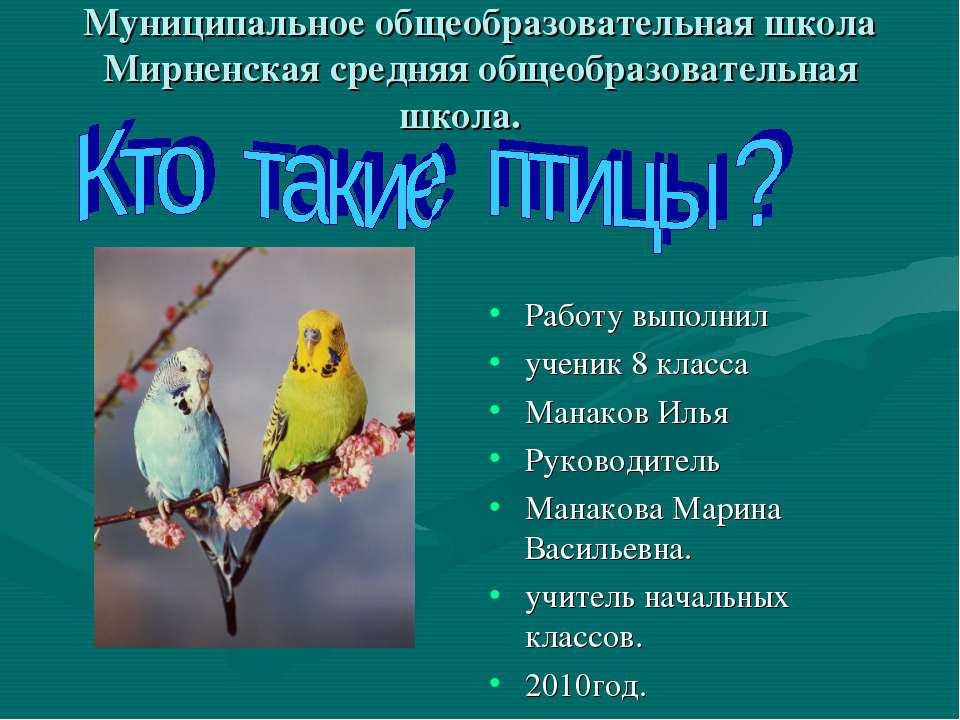 Кто такие птицы? - Скачать Читать Лучшую Школьную Библиотеку Учебников (100% Бесплатно!)