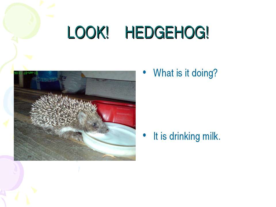 Look! Hedgehog! - Скачать Читать Лучшую Школьную Библиотеку Учебников (100% Бесплатно!)