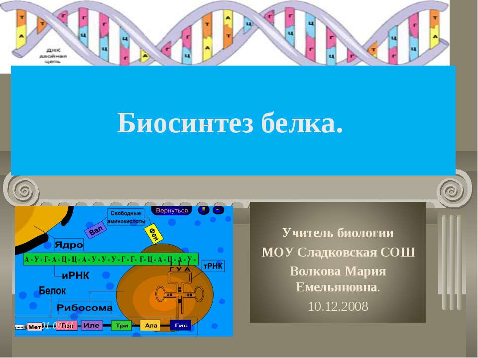 Биосинтез белка 9 класс - Скачать Читать Лучшую Школьную Библиотеку Учебников (100% Бесплатно!)