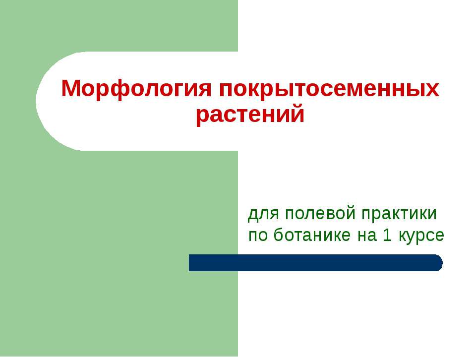 Морфология покрытосеменных растений - Скачать Читать Лучшую Школьную Библиотеку Учебников