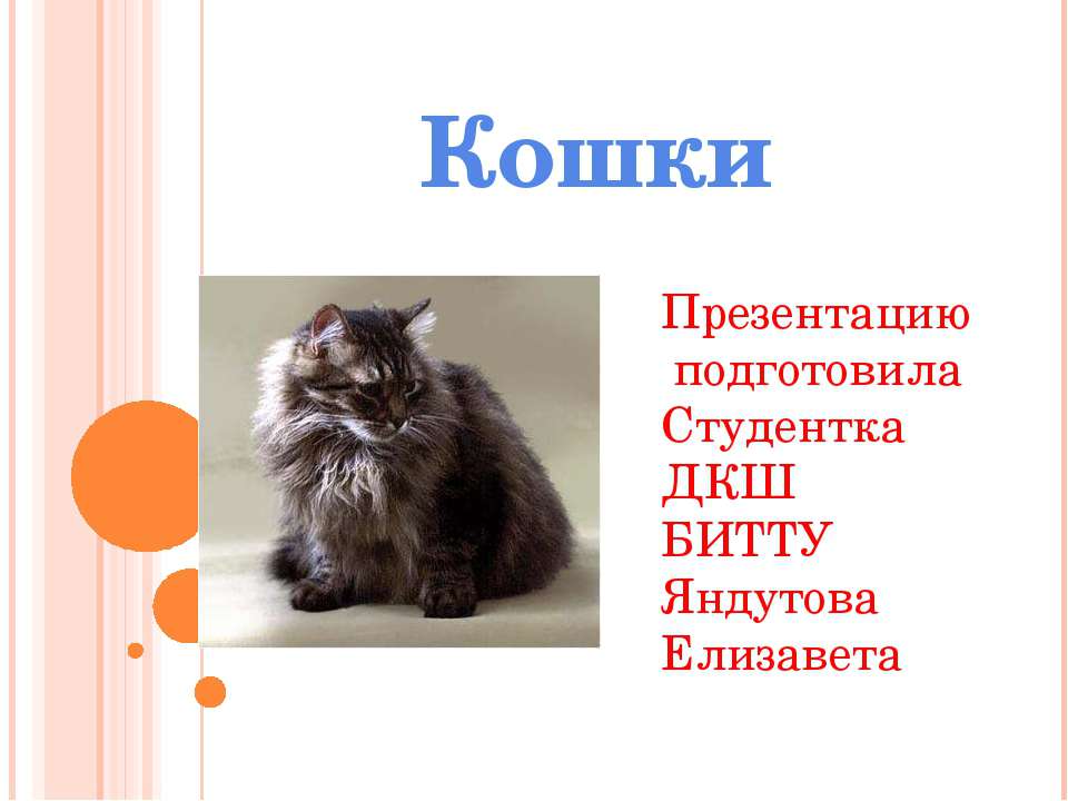 День кошек в России - Скачать Читать Лучшую Школьную Библиотеку Учебников (100% Бесплатно!)