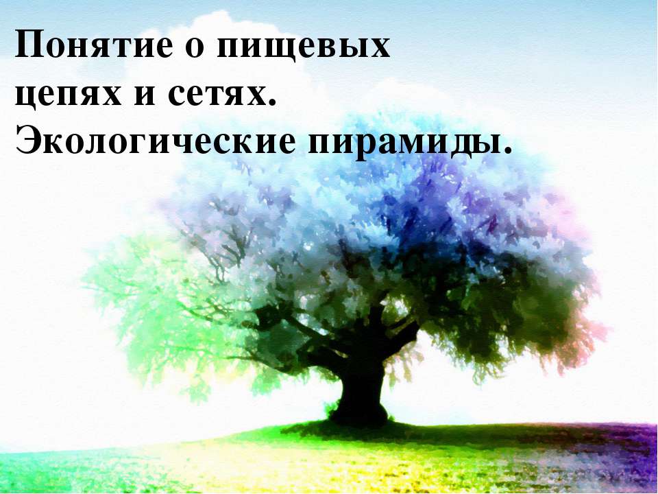 Понятие о пищевых цепях и сетях. Экологические пирамиды - Скачать Читать Лучшую Школьную Библиотеку Учебников (100% Бесплатно!)