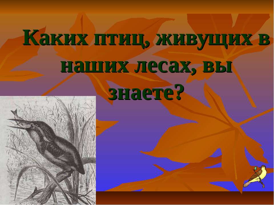 Каких птиц, живущих в наших лесах, вы знаете? - Скачать Читать Лучшую Школьную Библиотеку Учебников