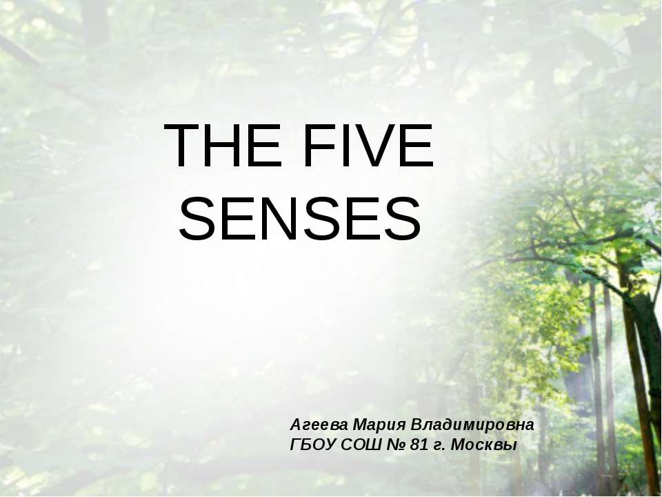 The five senses - Скачать Читать Лучшую Школьную Библиотеку Учебников (100% Бесплатно!)