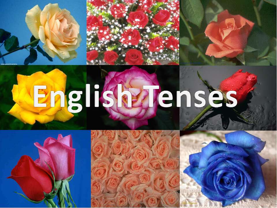 English Tenses - Скачать Читать Лучшую Школьную Библиотеку Учебников (100% Бесплатно!)