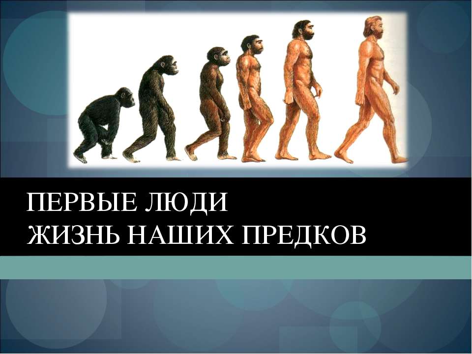 Первые люди. Жизнь наших предков - Скачать Читать Лучшую Школьную Библиотеку Учебников