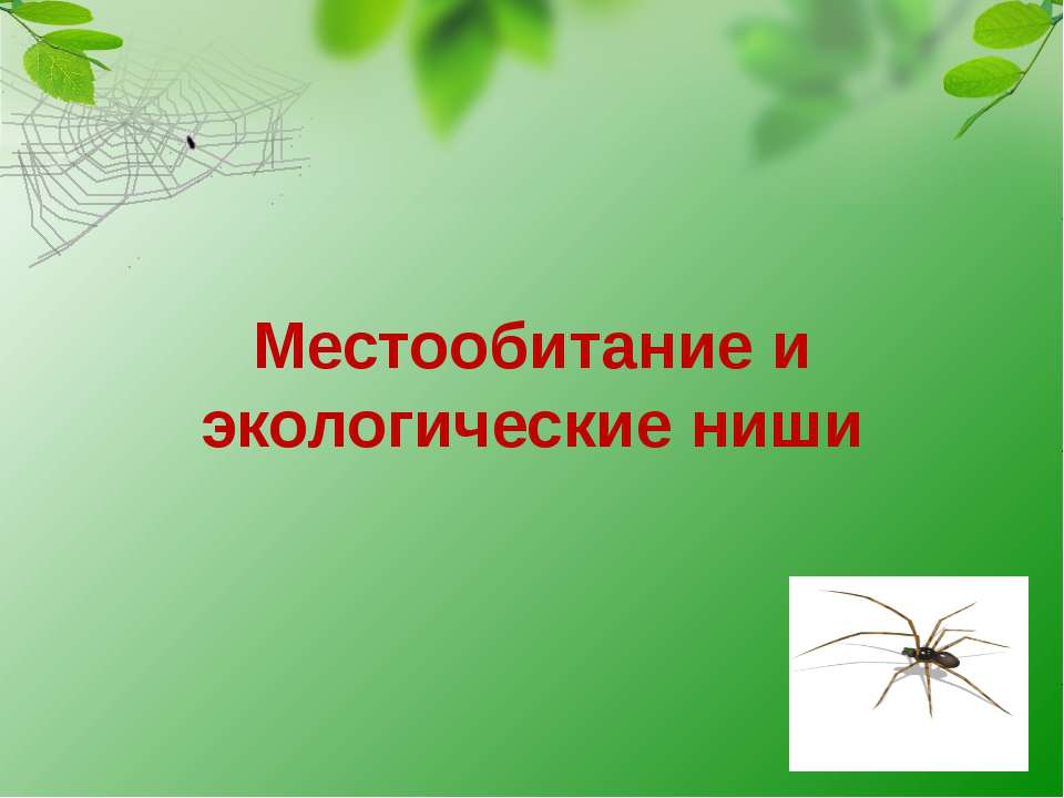 Местообитание и экологические ниши - Скачать Читать Лучшую Школьную Библиотеку Учебников (100% Бесплатно!)