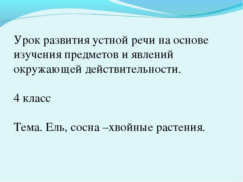 Ель, сосна –хвойные растения - Скачать Читать Лучшую Школьную Библиотеку Учебников