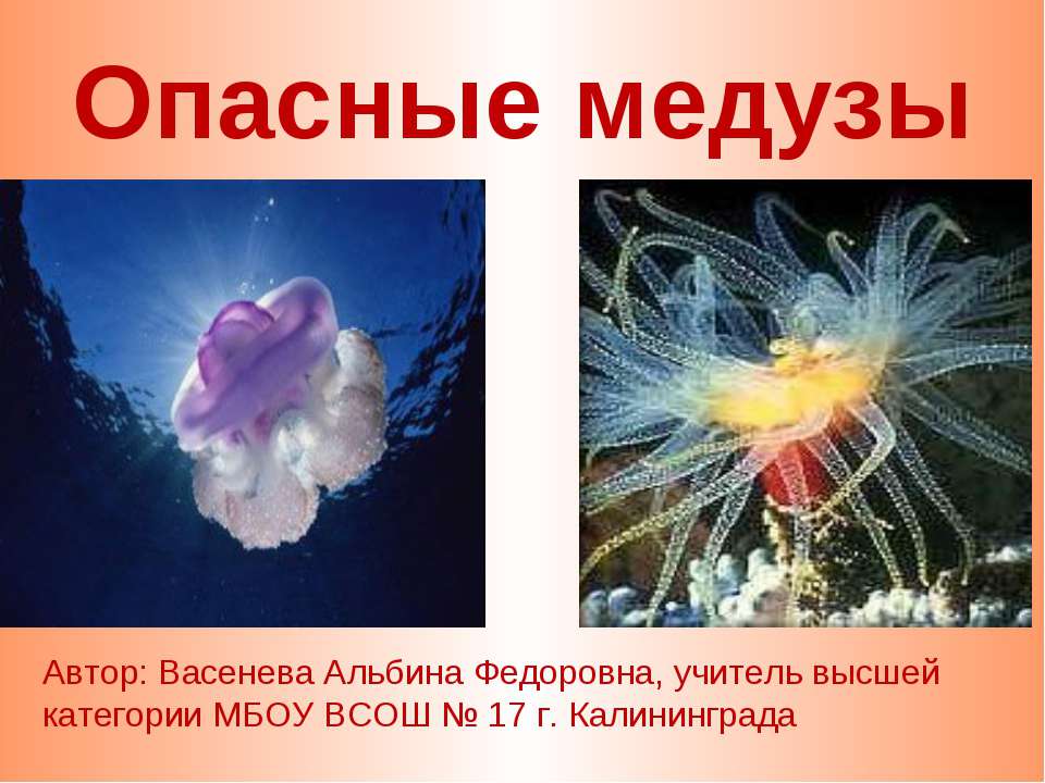 Опасные медузы - Скачать Читать Лучшую Школьную Библиотеку Учебников (100% Бесплатно!)