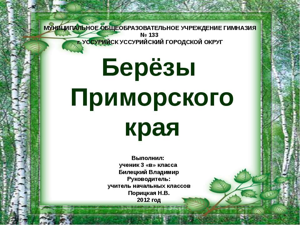 Берёзы Приморского края - Скачать Читать Лучшую Школьную Библиотеку Учебников