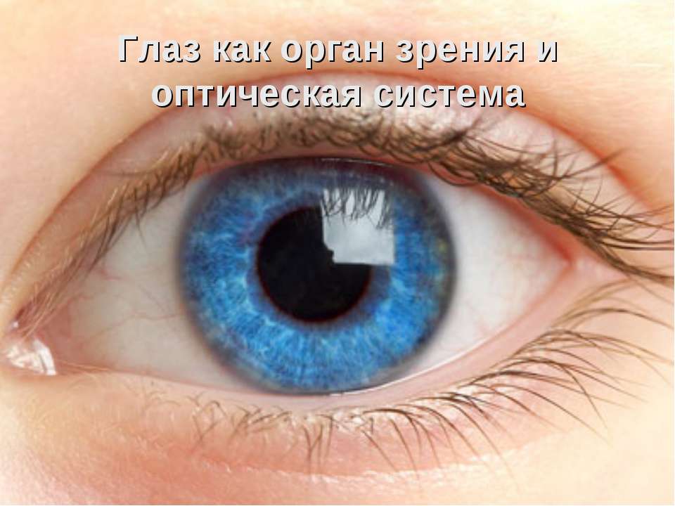 Глаз как орган зрения и оптическая система - Скачать Читать Лучшую Школьную Библиотеку Учебников (100% Бесплатно!)