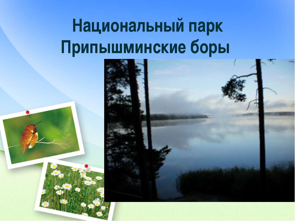 Национальный парк Припышминские боры - Скачать Читать Лучшую Школьную Библиотеку Учебников (100% Бесплатно!)