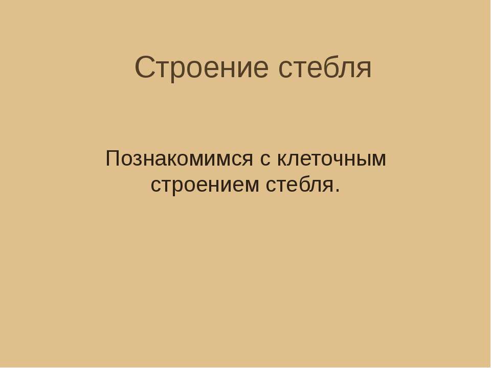 Строение стебля. Познакомимся с клеточным строением стебля - Скачать Читать Лучшую Школьную Библиотеку Учебников