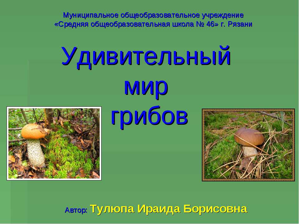 Удивительный мир грибов - Скачать Читать Лучшую Школьную Библиотеку Учебников (100% Бесплатно!)