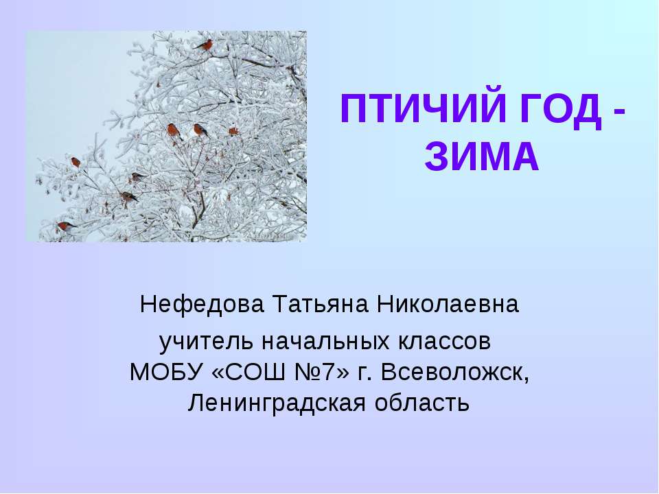 Птичий год - зима - Скачать Читать Лучшую Школьную Библиотеку Учебников (100% Бесплатно!)