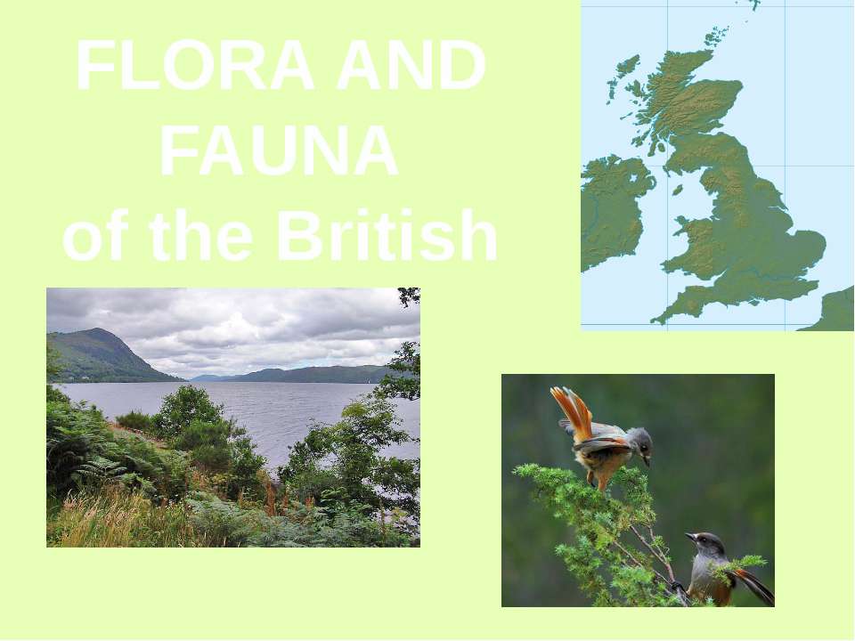 Flora and fauna of the British Isles - Скачать Читать Лучшую Школьную Библиотеку Учебников (100% Бесплатно!)