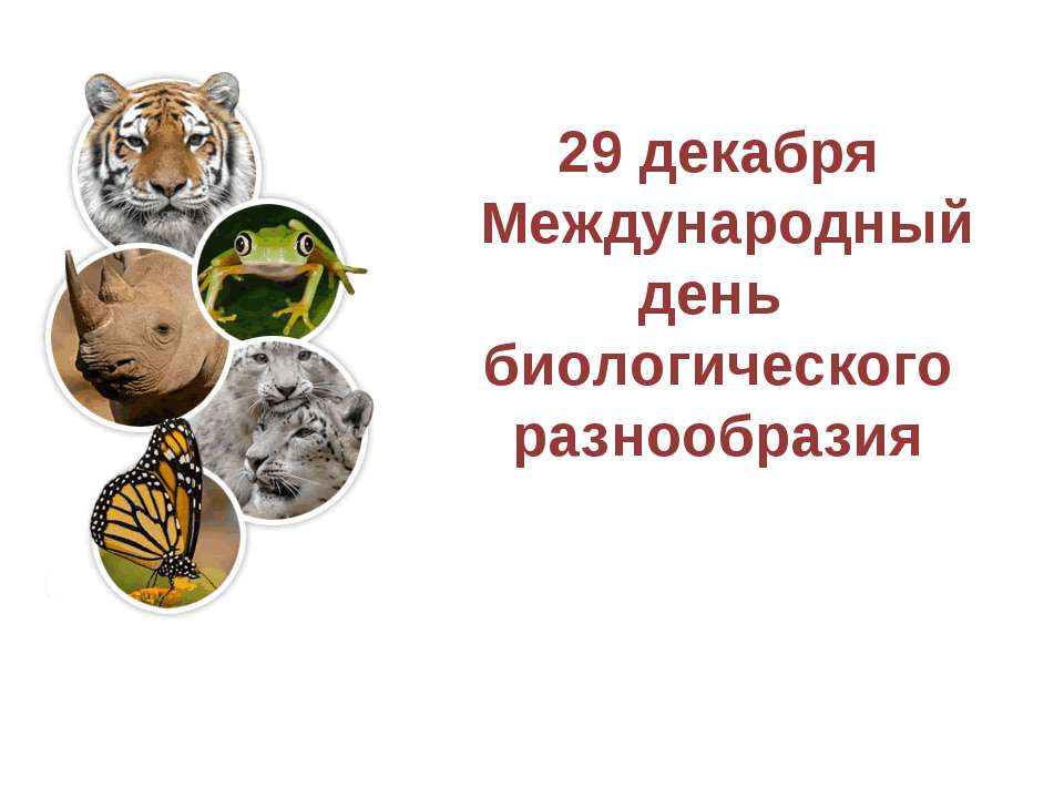29 декабря - Международный день биологического разнообразия - Скачать Читать Лучшую Школьную Библиотеку Учебников
