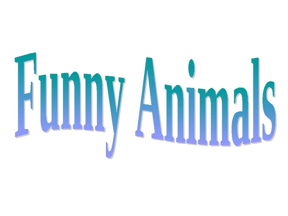 Funny animals - Скачать Читать Лучшую Школьную Библиотеку Учебников (100% Бесплатно!)