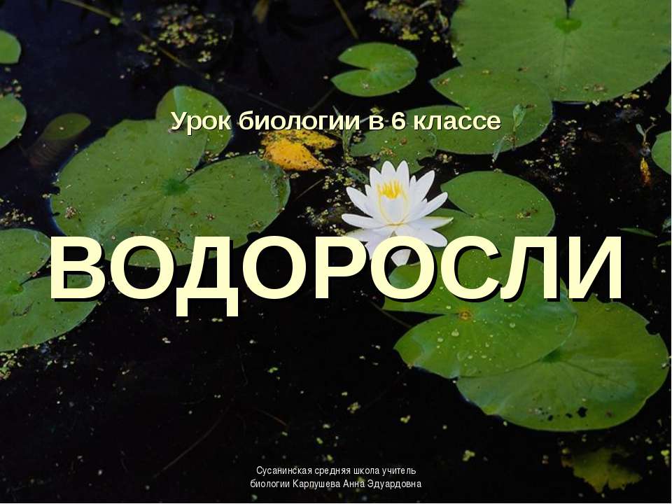 Водоросли - Скачать Читать Лучшую Школьную Библиотеку Учебников