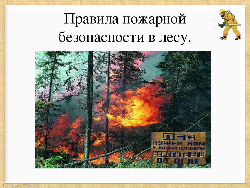 Правила пожарной безопасности в лесу - Скачать Читать Лучшую Школьную Библиотеку Учебников (100% Бесплатно!)