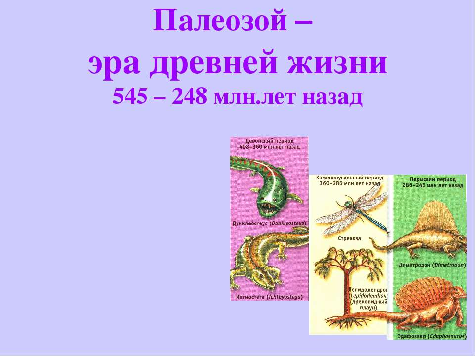 Палеозой – эра древней жизни 545 – 248 млн.лет назад - Скачать Читать Лучшую Школьную Библиотеку Учебников (100% Бесплатно!)