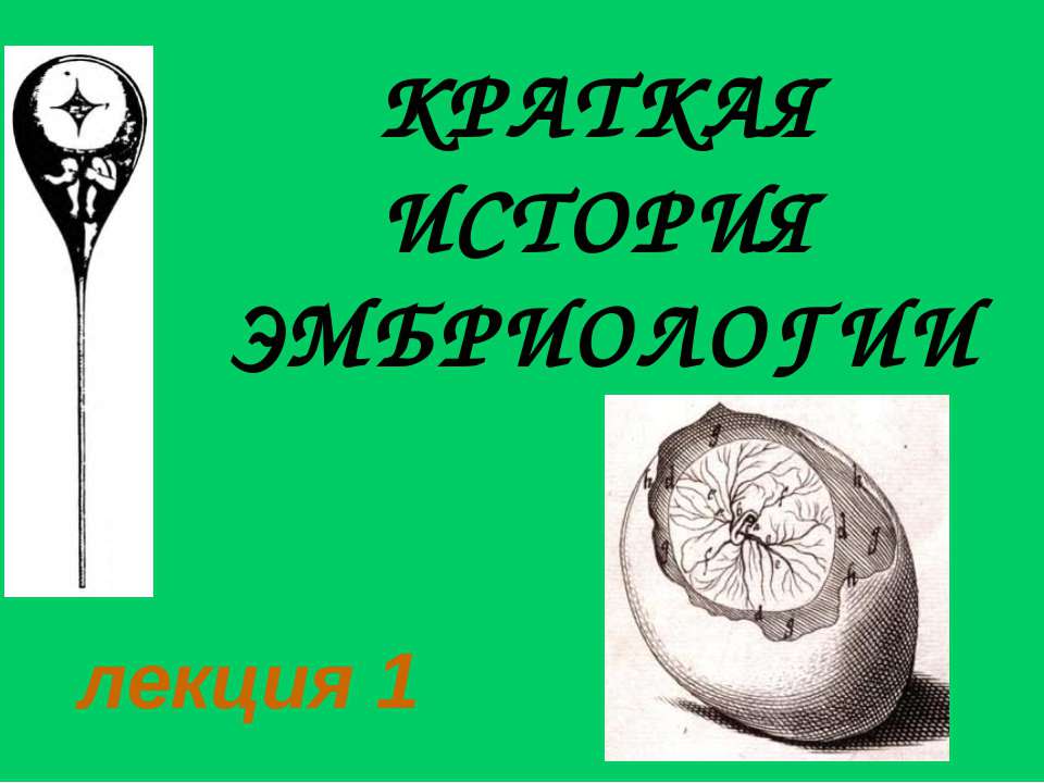 Краткая история эмбриологии - Скачать Читать Лучшую Школьную Библиотеку Учебников