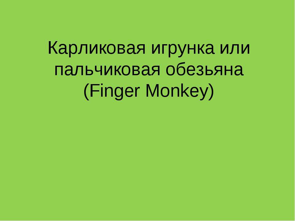 Карликовая игрунка или пальчиковая обезьяна (Finger Monkey) - Скачать Читать Лучшую Школьную Библиотеку Учебников (100% Бесплатно!)
