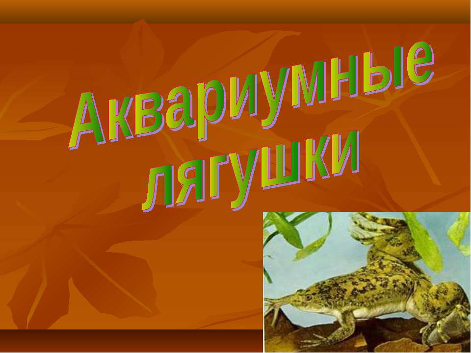 Аквариумные лягушки - Скачать Читать Лучшую Школьную Библиотеку Учебников