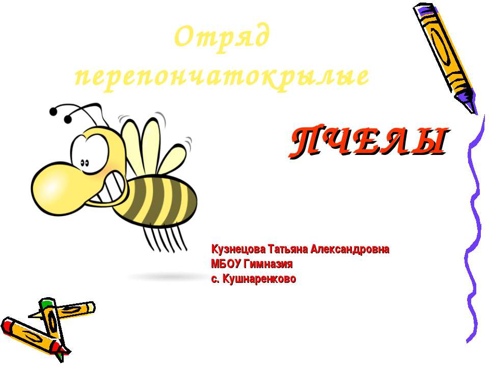 Отряд перепончатокрылые пчелы - Скачать Читать Лучшую Школьную Библиотеку Учебников (100% Бесплатно!)