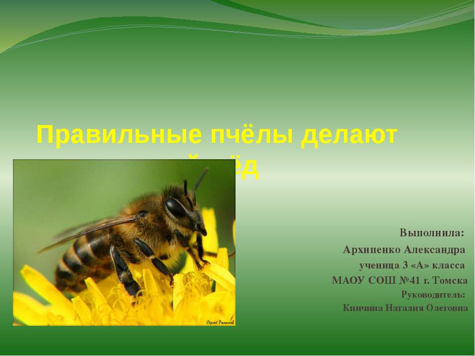 правильные пчёлы делают правильный мёд - Скачать Читать Лучшую Школьную Библиотеку Учебников (100% Бесплатно!)