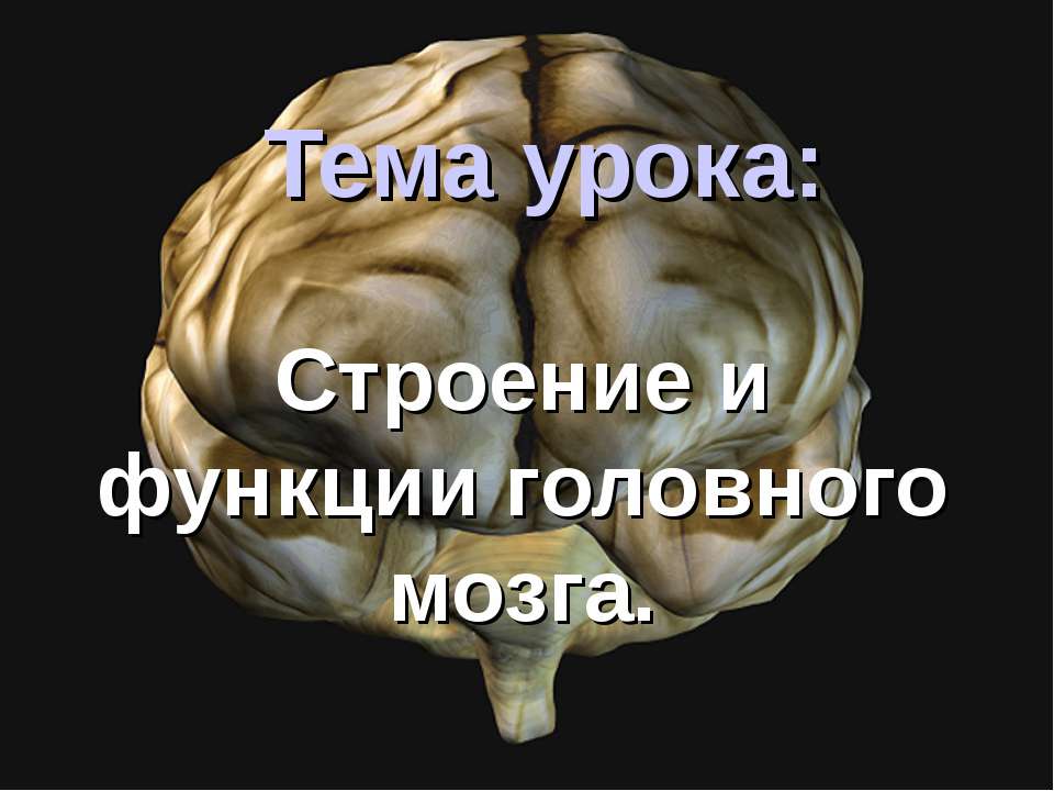 Презентации на тему мозга. Мозг для презентации. Тайны человеческого мозга слайды для презентации. Строение головного мозга человека презентация.