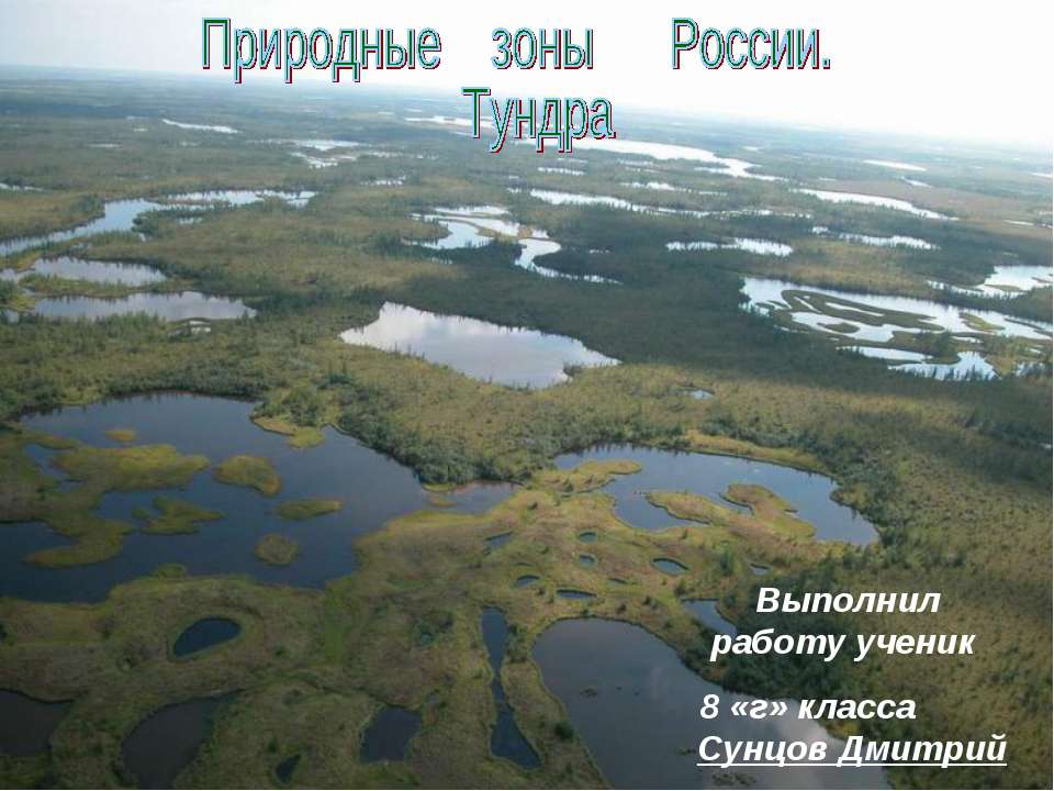 Природные зоны России. Тундра - Скачать Читать Лучшую Школьную Библиотеку Учебников