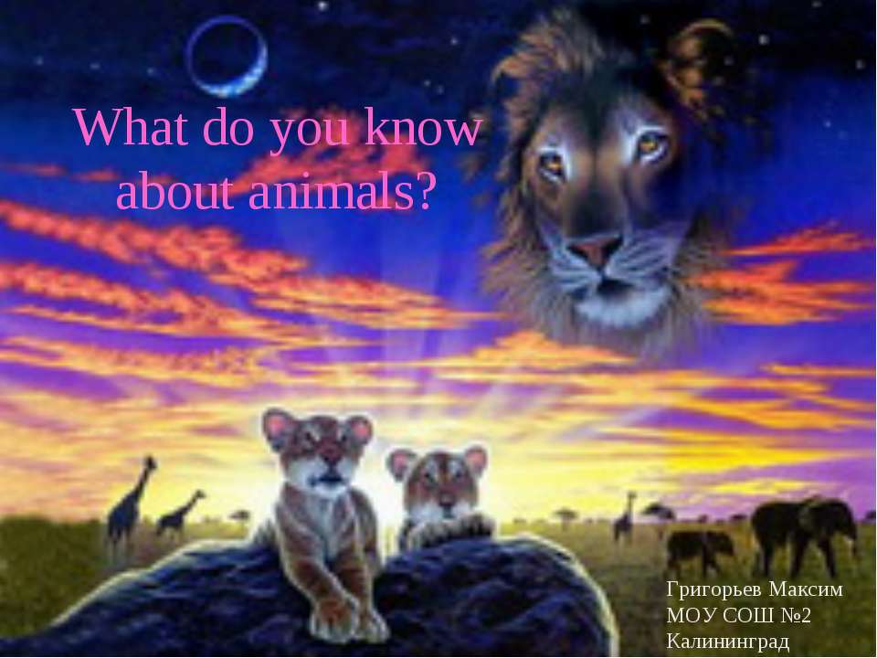 What do you know about animals? - Скачать Читать Лучшую Школьную Библиотеку Учебников