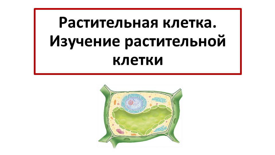 Презентация 6 класс "Растительная клетка" - Скачать Читать Лучшую Школьную Библиотеку Учебников (100% Бесплатно!)