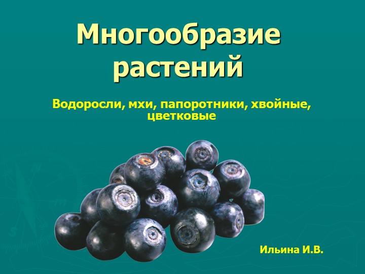 Презентация по окружающему миру " Многообразие животных " 3 класс - Скачать Читать Лучшую Школьную Библиотеку Учебников