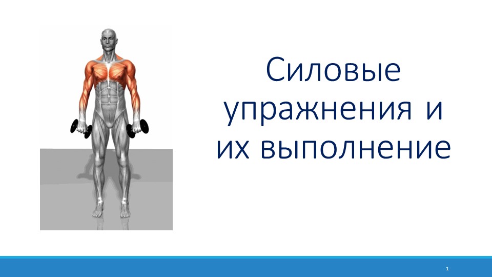 Презентация на тему: "Силовые упражнения и их выполнение" - Скачать Читать Лучшую Школьную Библиотеку Учебников (100% Бесплатно!)