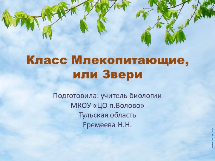 Презентация по биологии на тему "Млекопитающие, или Звери" - Скачать Читать Лучшую Школьную Библиотеку Учебников (100% Бесплатно!)