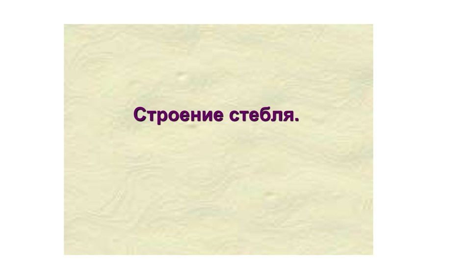 Презентация по теме "Строение стебля" - Скачать Читать Лучшую Школьную Библиотеку Учебников (100% Бесплатно!)