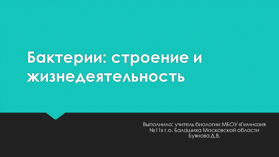 Презентация по теме "Бактерии: строение и жизнедеятельность" - Скачать Читать Лучшую Школьную Библиотеку Учебников (100% Бесплатно!)