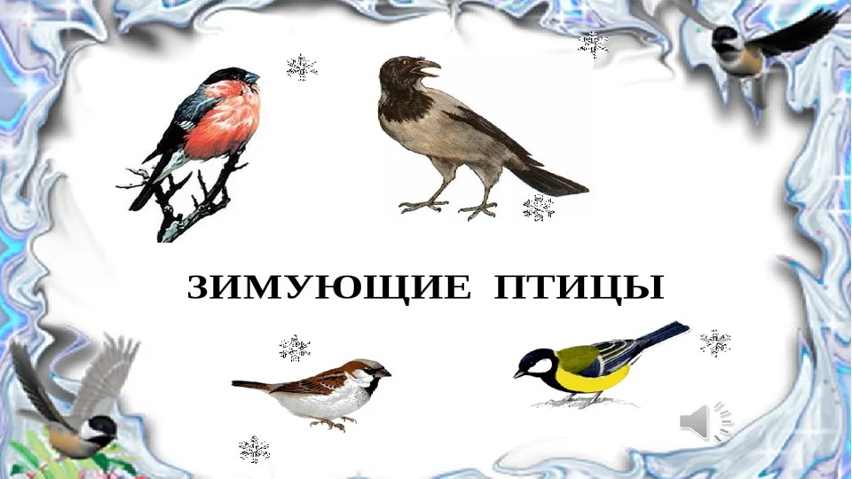 Мультимедийная дидактическая игра-презентация для дошкольников "Зимующие птицы" - Скачать Читать Лучшую Школьную Библиотеку Учебников (100% Бесплатно!)