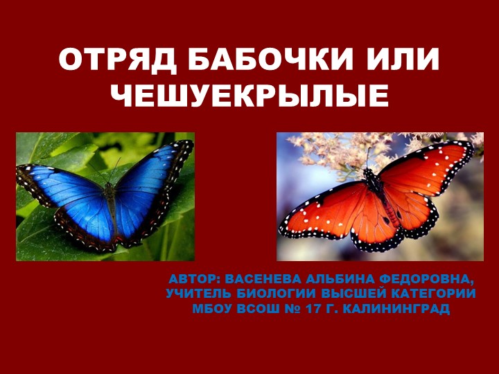 Презентация по биологии "Бабочки" (6 класс). - Скачать Читать Лучшую Школьную Библиотеку Учебников (100% Бесплатно!)