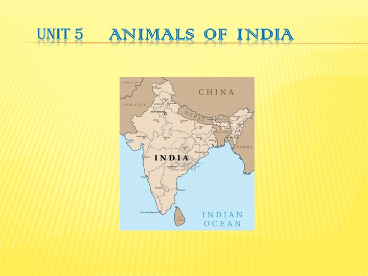 Презентация по английскому языку :"Animals of India"! - Скачать Читать Лучшую Школьную Библиотеку Учебников (100% Бесплатно!)