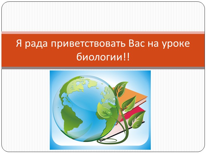 Презентация "Виды корней. Типы корневых систем" - Скачать Читать Лучшую Школьную Библиотеку Учебников (100% Бесплатно!)