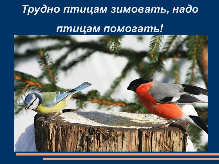 Презентация "Трудно птицам зимовать, надо птицам помогать" к внеклассному мероприятию - Скачать Читать Лучшую Школьную Библиотеку Учебников (100% Бесплатно!)