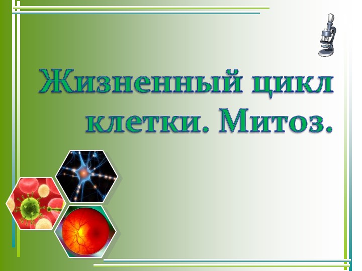 Презентация "Жизненный цикл клетки. Митоз" - Скачать Читать Лучшую Школьную Библиотеку Учебников (100% Бесплатно!)