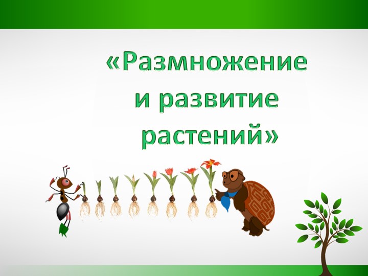 Презентация по окружающему миру "Размножение и развитие растений" - Скачать Читать Лучшую Школьную Библиотеку Учебников