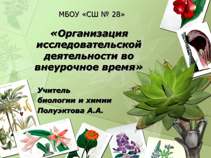 Организацияисследовательской деятельности во внеурочное время - Скачать Читать Лучшую Школьную Библиотеку Учебников (100% Бесплатно!)