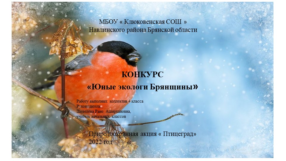 Презентация "Покормите птиц зимой" - Скачать Читать Лучшую Школьную Библиотеку Учебников (100% Бесплатно!)