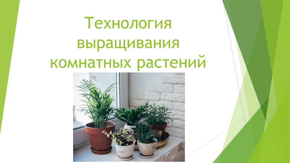 Презентация "Технология выращивания комнатных растений" - Скачать Читать Лучшую Школьную Библиотеку Учебников (100% Бесплатно!)
