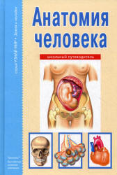 Анатомия человека. Школьный путеводитель - Афонькин С.Ю. - Скачать Читать Лучшую Школьную Библиотеку Учебников